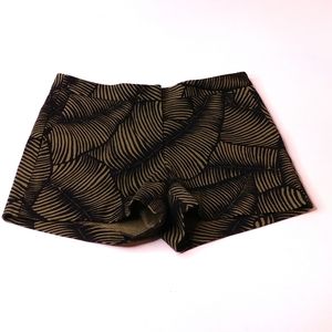 Ann Taylor Devin city short size 8